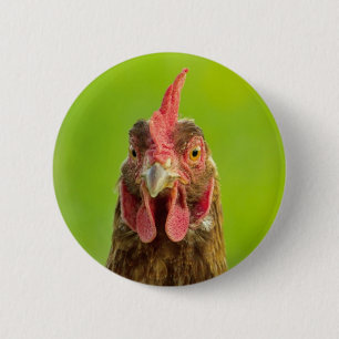 Badge Rond 5 Cm Poulet drôle - bouton