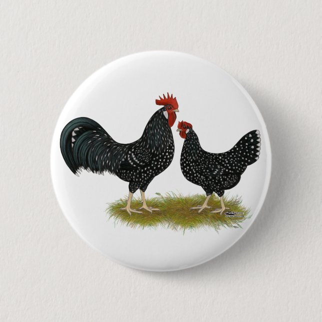 Badge Rond 5 Cm Poulets d'Ancône (Devant)