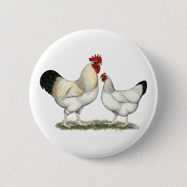 Badge Rond 5 Cm Poulets de la rivière Indian (Devant)