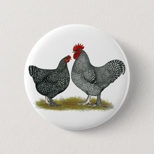 Badge Rond 5 Cm Poulets de Maline (Devant)