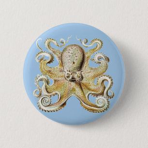 Badge Rond 5 Cm Poulpe vintage Ernst Haeckel Vie marine nautique