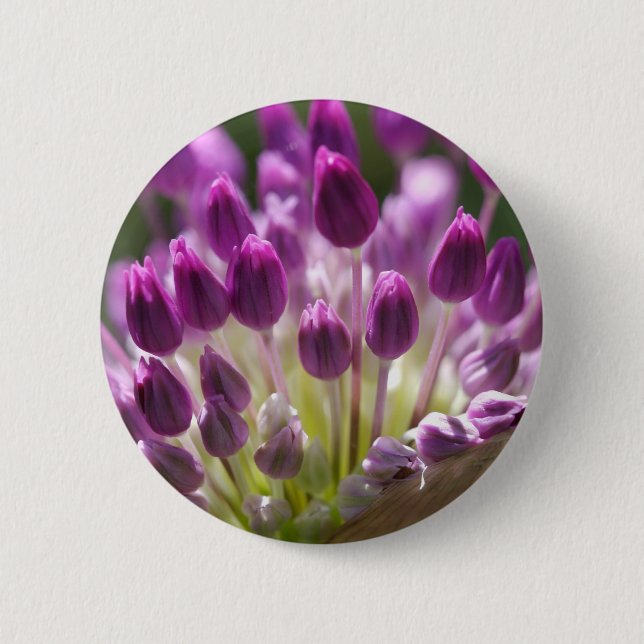 Badge Rond 5 Cm pourcentage de bourgeonnement (Devant)