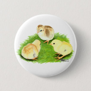 Badge Rond 5 Cm Poussins Aseel Blé