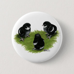 Badge Rond 5 Cm Poussins Marans Noir Cuivre