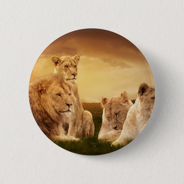 Badge Rond 5 Cm Pride (Devant)