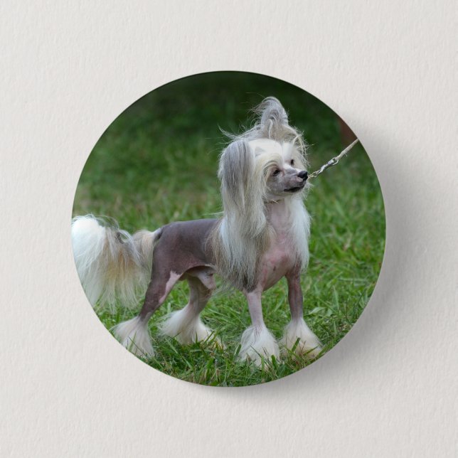 Badge Rond 5 Cm Produit de personnaliser (Devant)