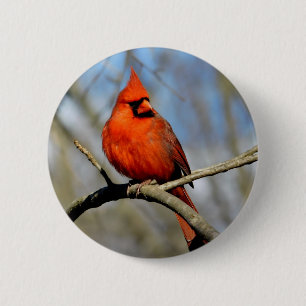 Badge Rond 5 Cm Profil de Cardinal Rouge