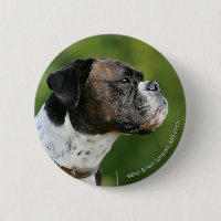 Profil de chien de boxeur