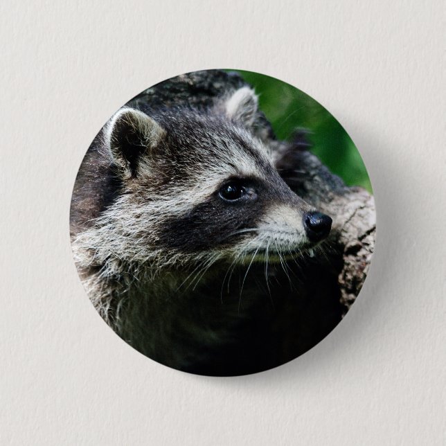 Badge Rond 5 Cm Profil de raton laveur (Devant)