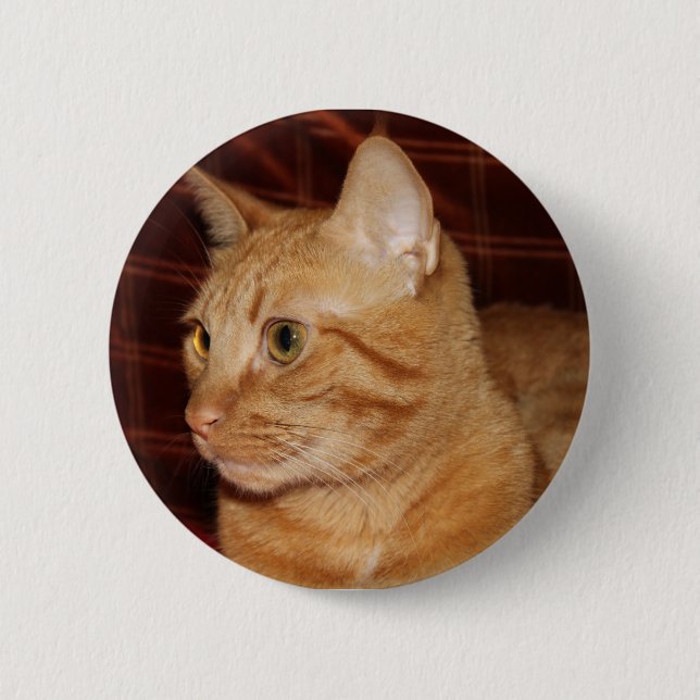 Badge Rond 5 Cm Profil de visage de chat Tabou orange (Devant)