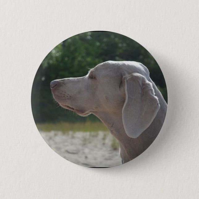 Badge Rond 5 Cm Profil doux de chien de Weimaraner (Devant)