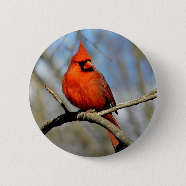 Badge Rond 5 Cm Profil du cardinal rouge (Devant)