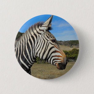 Badge Rond 5 Cm Profil Zebra de Hartmann à Fossil Rim