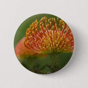 Badge Rond 5 Cm Protea de pelote à épingles