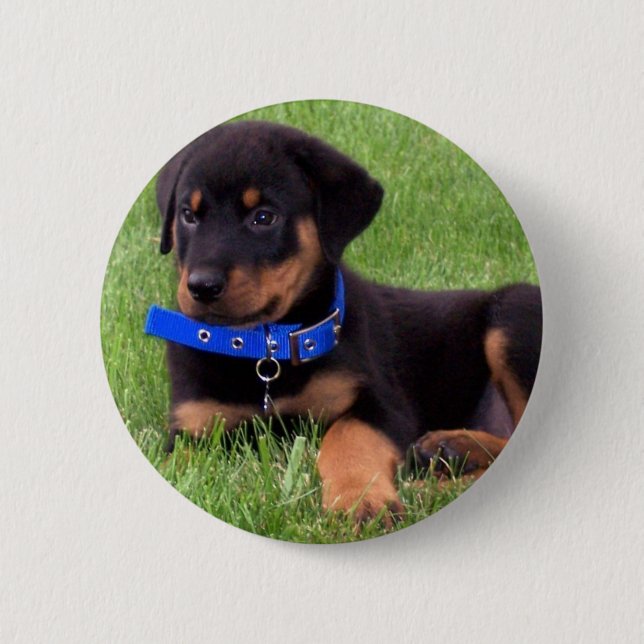 Badge Rond 5 Cm pubs de rottweiler (Devant)