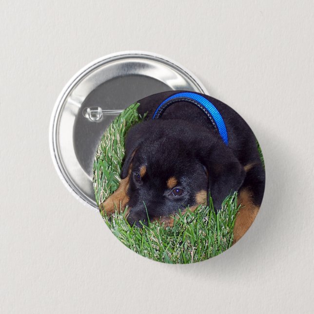 Badge Rond 5 Cm pubs de rottweiler (Devant & derrière)