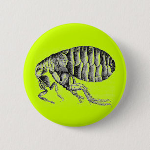 Badge Rond 5 Cm Puce de peste