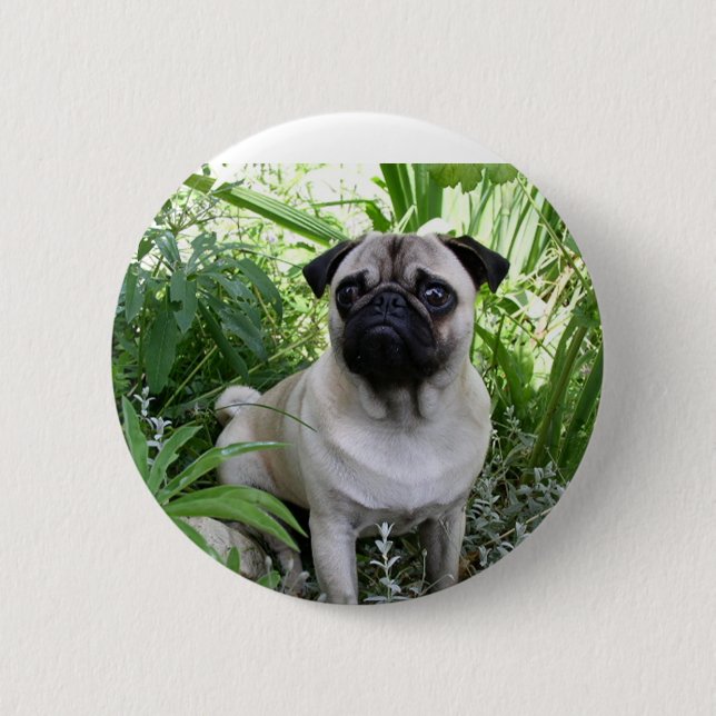 Badge Rond 5 Cm pug assis (Devant)