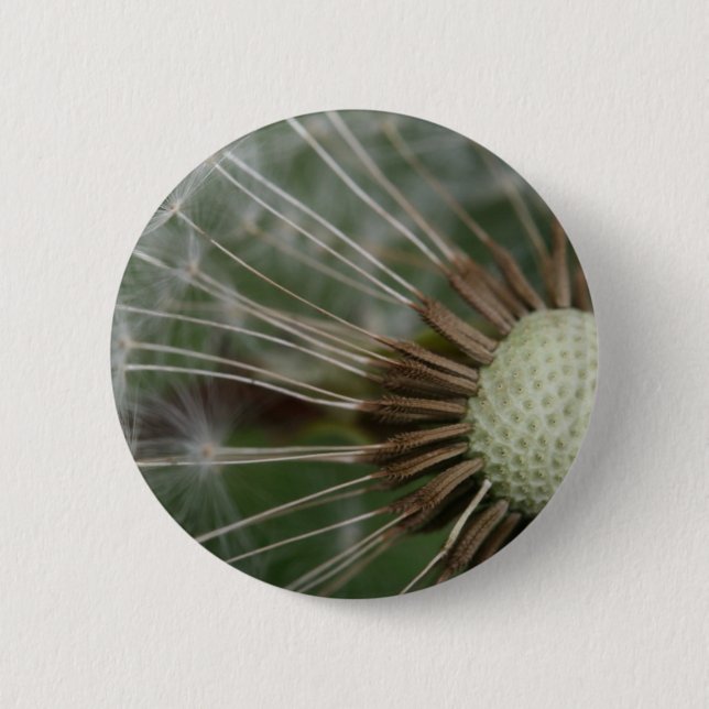 Badge Rond 5 Cm pusteblume (Devant)