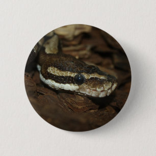 Badge Rond 5 Cm Python Brown