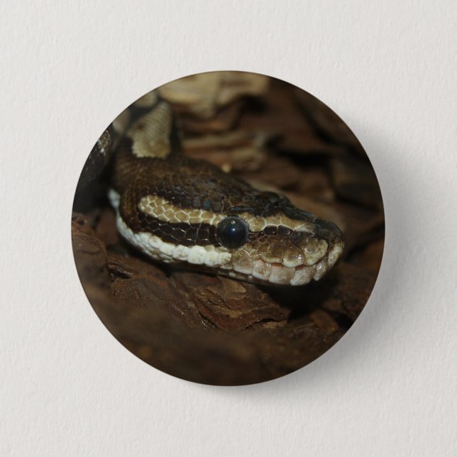 Badge Rond 5 Cm Python Brown (Devant)