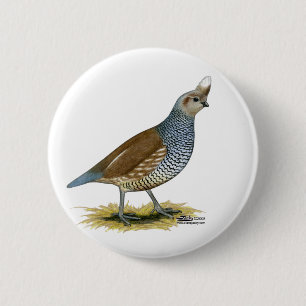 Badge Rond 5 Cm Quail à échelle