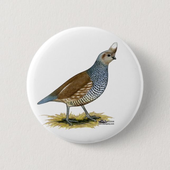 Badge Rond 5 Cm Quail à échelle (Devant)