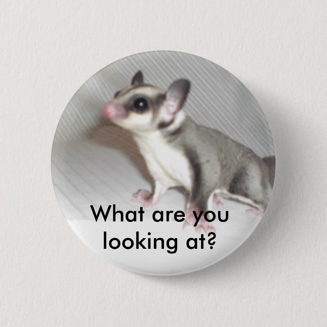 Badge Rond 5 Cm Que regardez-vous ? (Devant)