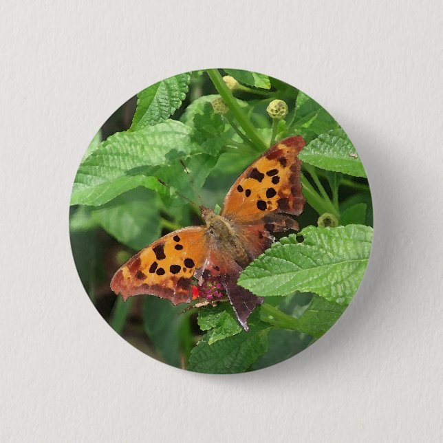 Badge Rond 5 Cm Question Mark Butterfly on Lantana (Devant)