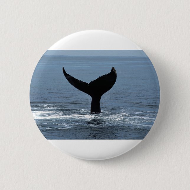 Badge Rond 5 Cm Queue de baleine à bosses (Devant)
