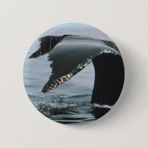 Badge Rond 5 Cm Queue de baleine de bosse