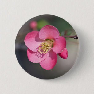 Badge Rond 5 Cm Quince à fleurs roses parfaite