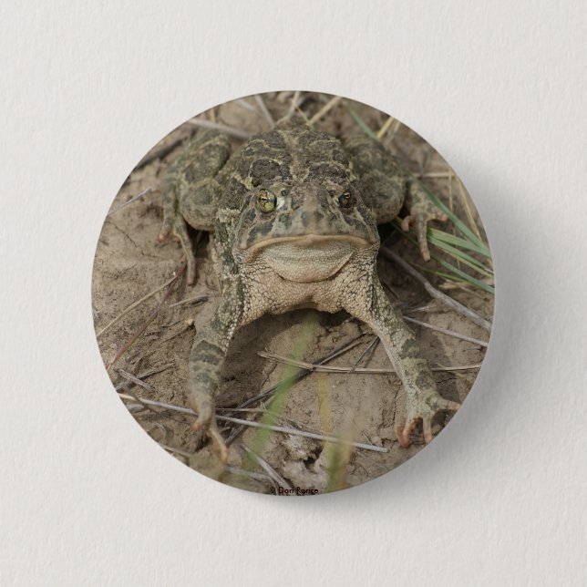 Badge Rond 5 Cm R10 Prairie Toad (Devant)