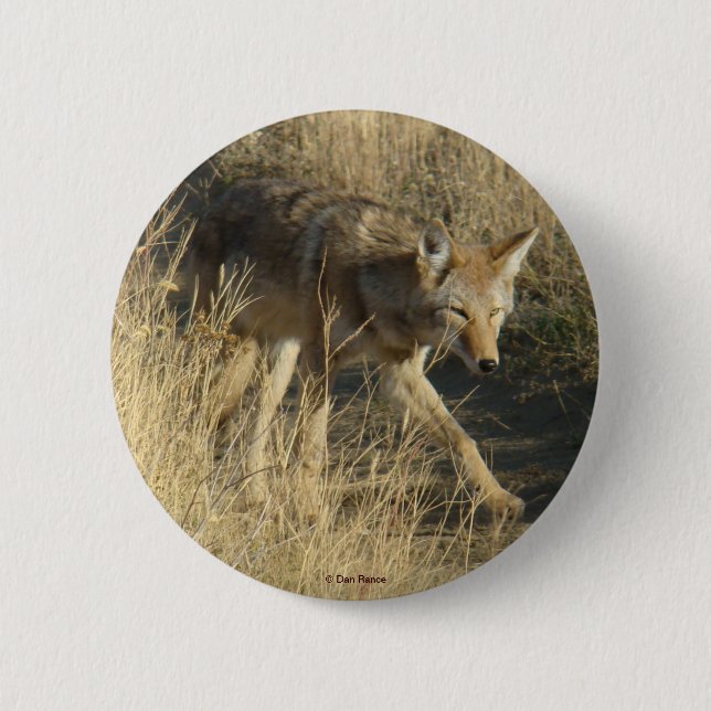 Badge Rond 5 Cm R14 Coyote Walking (Devant)