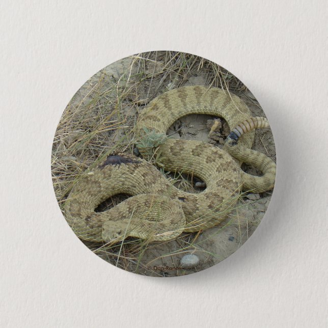 Badge Rond 5 Cm R20 Serpent à sonnette des Prairies (Devant)