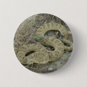 Badge Rond 5 Cm R20 Serpent à sonnette des Prairies