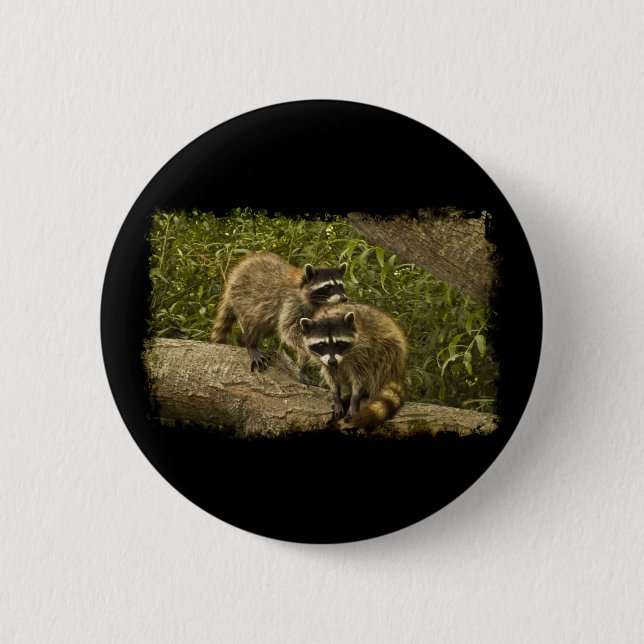 Badge Rond 5 Cm Raccoons (Devant)