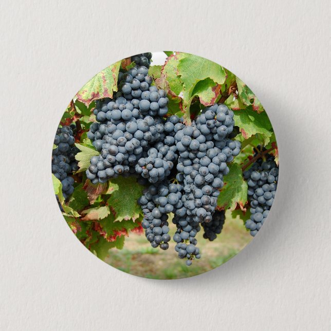Badge Rond 5 Cm Raisins de vin français (Devant)