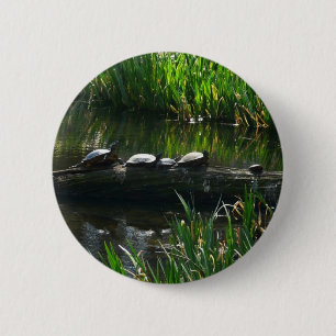 Badge Rond 5 Cm Rangée de tortues photo de la nature verte
