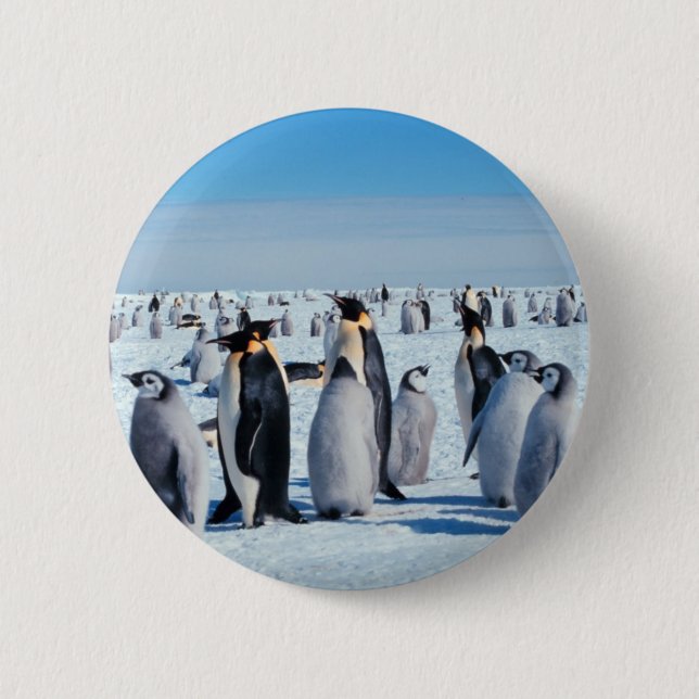 Badge Rond 5 Cm Rassemblement de pingouin (Devant)