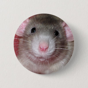 Badge Rond 5 Cm Rat mignon d'abruti