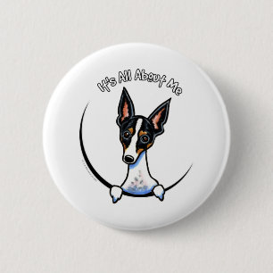 Badge Rond 5 Cm Rat terrier tricolore IAAM