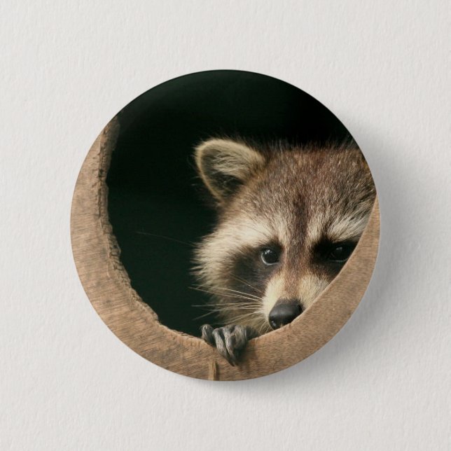 Badge Rond 5 Cm Ratons (Devant)