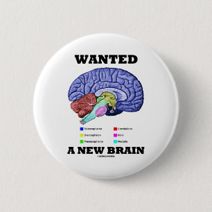 Badge Rond 5 Cm Recherché un nouveau cerveau (attitude anatomique