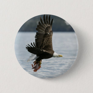 Badge Rond 5 Cm Récupération du poisson d'aigle à tête blanche