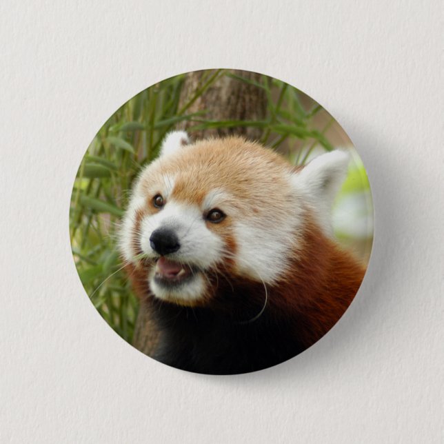 Badge Rond 5 Cm red-panda-033 (Devant)