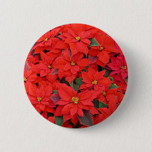 Badge Rond 5 Cm Red Poinsettias I Christmas Holiday Floral Photo