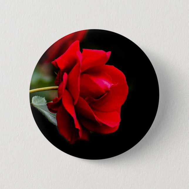 Badge Rond 5 Cm Red rose (Devant)