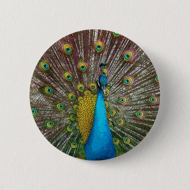 Badge Rond 5 Cm Regal Peacock Bird avec Turquoise et Gold Plumage (Devant)