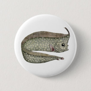 Badge Rond 5 Cm Régale Crêté, Poisson, Vie Marine Aquatique Vintag